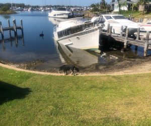 5ad98f5b-e3e3-4960-b0f5-0ddc81a7fc5e