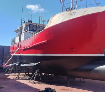 d92fa597-6ad4-47c6-aa74-457b98a74a73