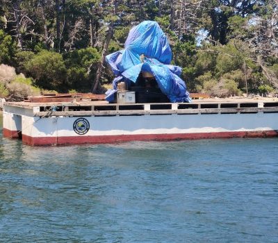 e0e535ca-4806-4cb3-b960-aa40bdd7732e